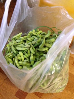 枝豆大収穫!