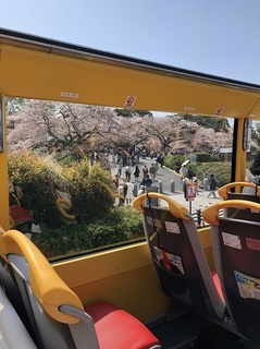 180404_天井が開いたはとバス.jpg