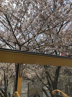 180404_市ヶ谷エリアの桜.jpg