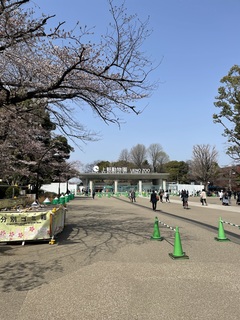 220325_上野動物園