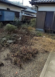 241117_łĂ炢u^NT.JPG